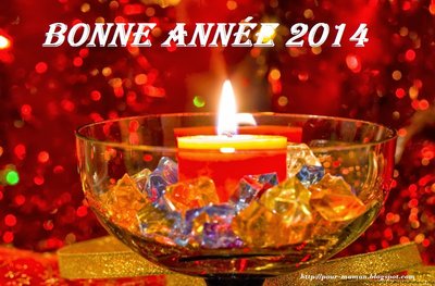 Bonne année 2014.jpg