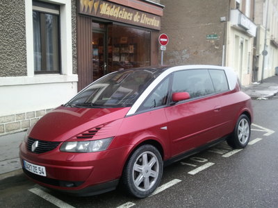 2013-01-20 16.03.42.jpg (652.33 Kio) Consulté 161856 fois Griotte à Liverdun (54) en janvier 2013 devant mon magasin préféré: les Madeleine de Liverdun en face de la gare.