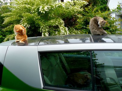 P1060478.JPG (1.1 Mio) Consulté 6499 fois Staff polissage carrosserie