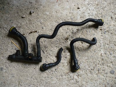 P1060550.JPG (539.97 Kio) Consulté 6499 fois Complètement cuite la pieuvre