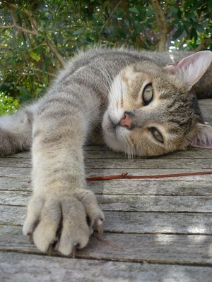 P1060957.JPG (812.73 Kio) Consulté 5921 fois Dure journée!