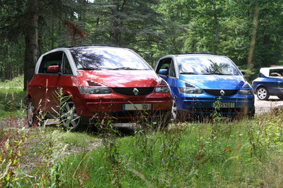 Souvenir de la dernière saillie dans les bois