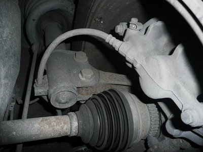P1180214.JPG