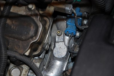 DSC_0003 (Medium).JPG