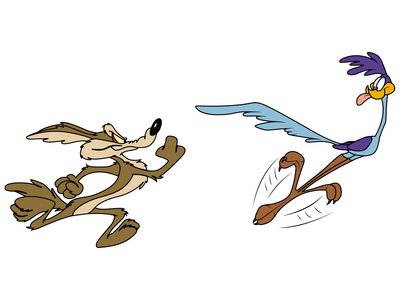 & wile_e_coyote_and_road_runner_wallpaper-29519.jpg