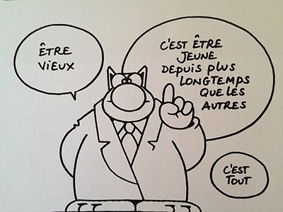 & vieux-chat-voeux.jpg