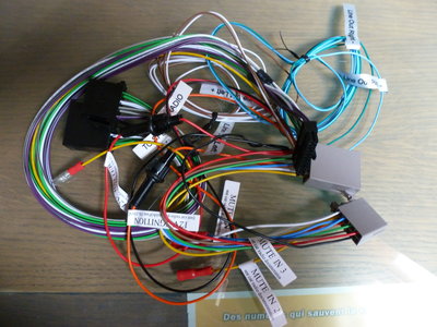 & cablage d'interconnexion .JPG (5.4 Mio) Consulté 12167 fois & cablage d'interconnexion