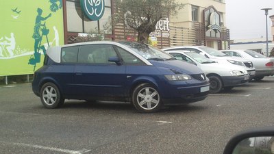 V6 Tibetain MARMANDE