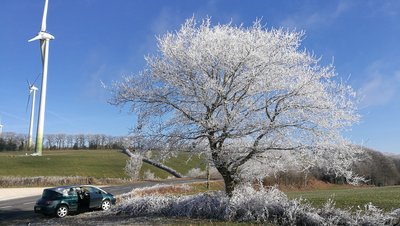 IMG_20170109_123127_1.jpg