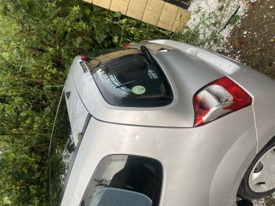 Grele Twingo.jpeg