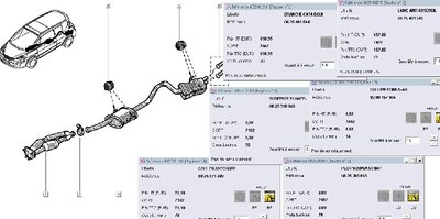 duc-echap2.jpg