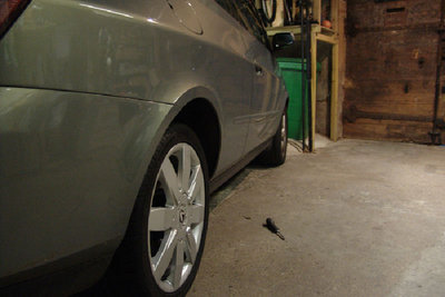 & dsc06564sr5.jpg