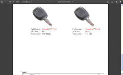 FireShot Screen Capture #219 - 'transponder-key-renault_doc - transponder-key-renault_pdf' - www_elastic-rfid_com_cms_plugin_RfidCatalog_upload_files_transponder-key-renault.png